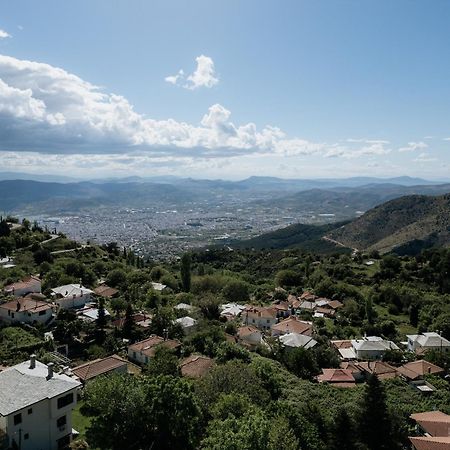 Archontiko Kantartzi Portaria  Bagian luar foto