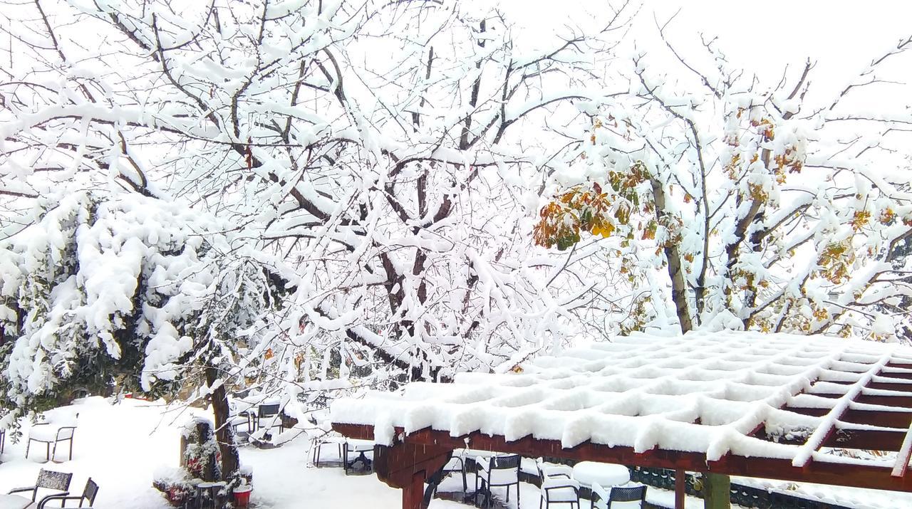 Archontiko Kantartzi Portaria  Bagian luar foto