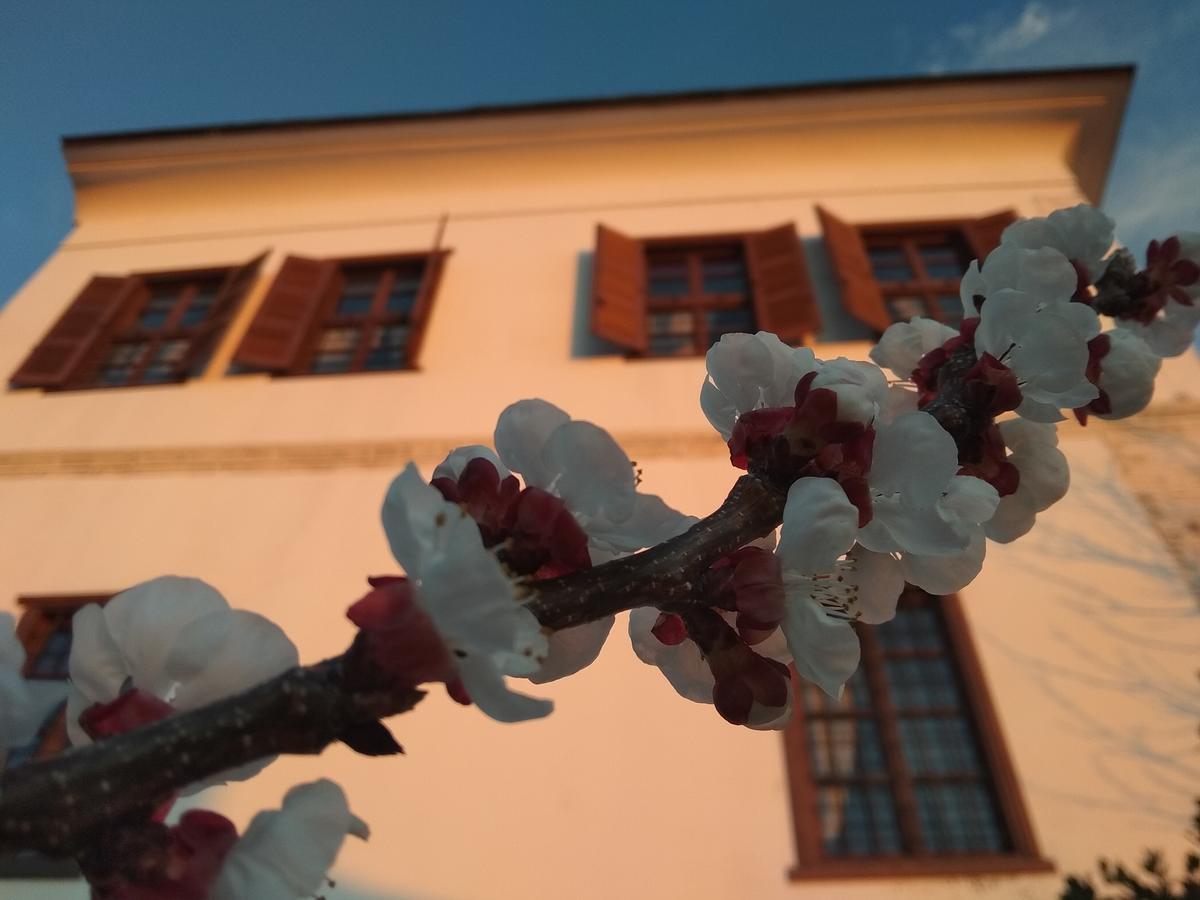 Archontiko Kantartzi Portaria  Bagian luar foto