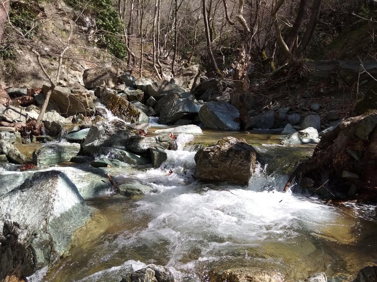 Archontiko Kantartzi Portaria  Bagian luar foto